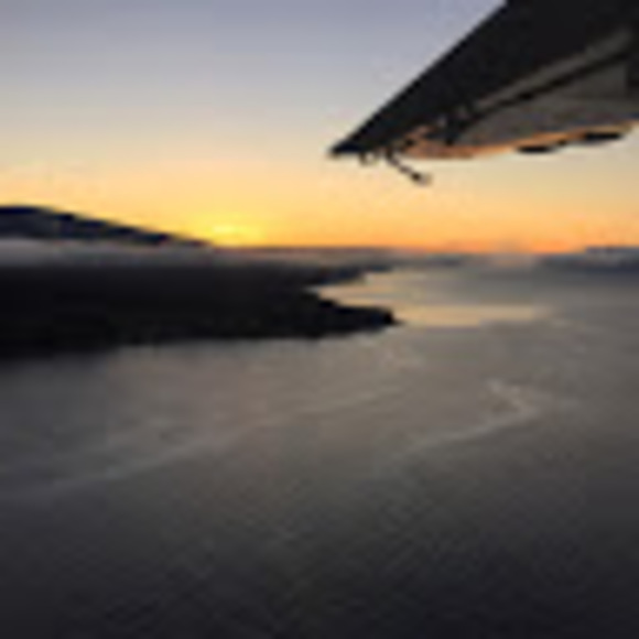 Meet your Posher, Sam - Picture 1 of 1